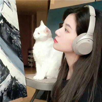 真情陌生人